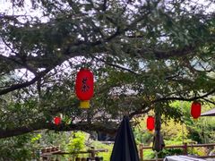 -藏龙百瀑风景区