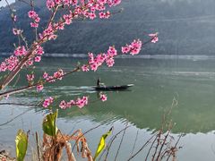 -后柳水乡