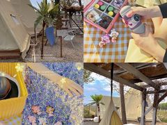 -安德鲁户外烧烤帐篷营地(马泉营店)