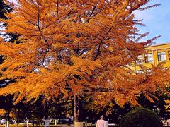 -大连理工大学(凌水校区)