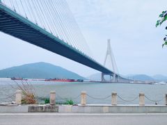-芒洲湿地公园