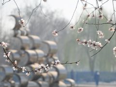 -裕华世纪公园