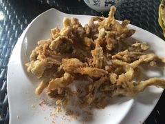 -草根堂农场