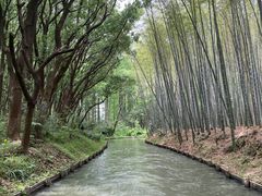 -同里国家湿地公园