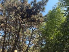 -红螺寺