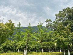 -上方山森林动物世界