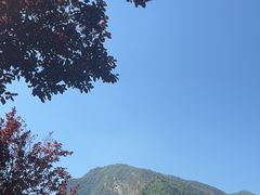 -少华山国家森林公园