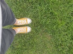 -君乐宝优致牧场