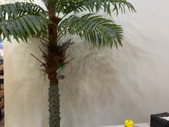 -紫藤园·天目湖大鱼头(南山竹海店)