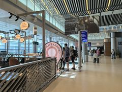 -西沃古尔·拉姆古兰爵士国际机场