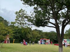 -白马涧龙池景区