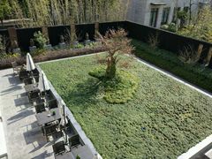 -上海崇明金茂凯悦酒店