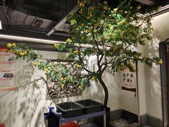 -小菜园新徽菜(芜湖镜湖苏宁店)