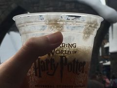 -哈利波特魔法世界
