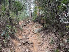 -火炉山森林公园