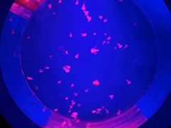 -多彩贵州城极地海洋世界