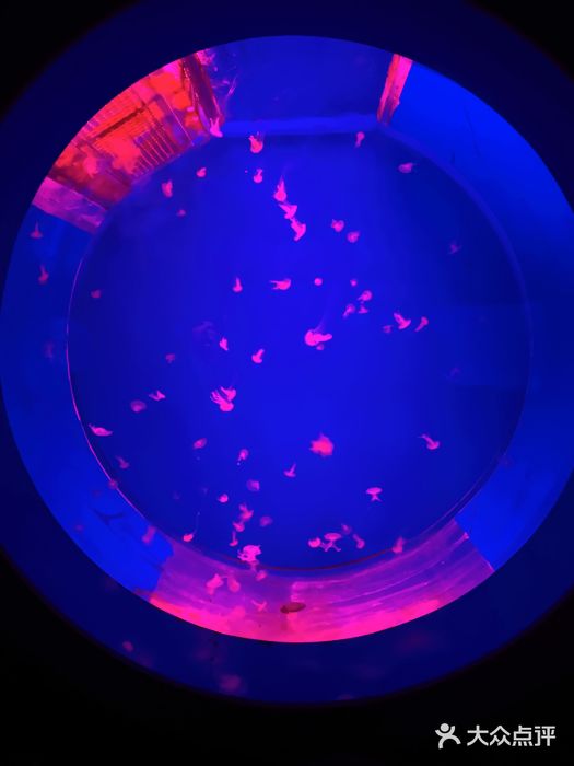 多彩贵州城极地海洋世界图片