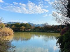 -西溪国家湿地公园