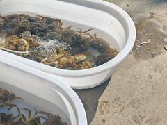 -上海龙吴水胜海发市场