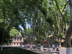 -东南大学(四牌楼校区)
