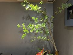 -大鸭梨烤鸭(望京店)