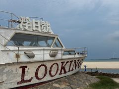 -汕尾风车岛