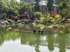 -金陵中学(河西分校)