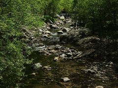 -牛背梁国家森林公园