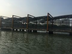 -白塘生态植物园