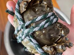 -祥鹤龙虾螃蟹