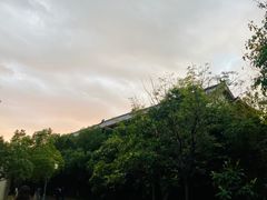 -杏花村文化旅游区