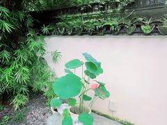 -宋宴(虎跑店)