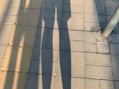 -中国民兵武器装备陈列馆