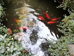 -留荫庐旅馆(南浔古镇百间楼店)