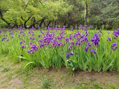 -元大都城垣遗址公园