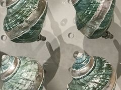 -海合安武汉极地海洋公园