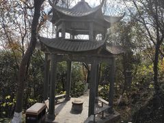 -游子山休闲旅游区