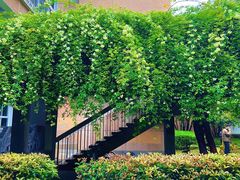 -四川大学(望江校区)