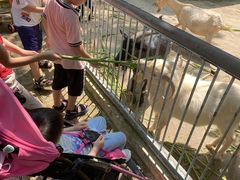 -广东茂名森林公园
