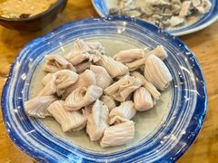 羊肚仁-金生隆(六铺炕店)