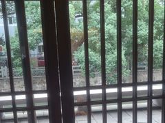 -老头儿油爆虾(胜利河美食街店)