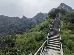 -大岭沟猕猴桃谷风景区