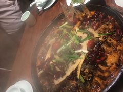 -老板恋上鱼(荣盛广场店)
