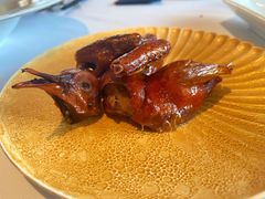 脆皮妙龄鸽-新荣记(建国门外大街店)