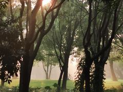 -东莞植物园