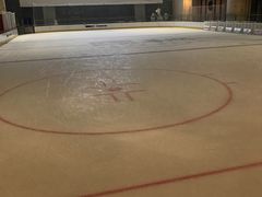 -冰纷万象滑冰场(二七万象城店)