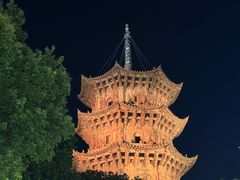 -张记烤鱼王(西街店)