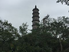 -巢湖姥山岛
