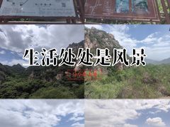 -大岭沟猕猴桃谷风景区