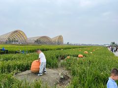 -中国天府农业博览园